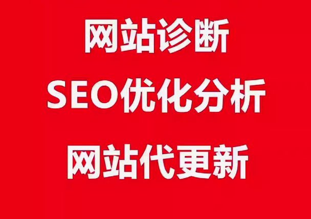 网站诊断 涵盖 SEO 分析收录检查及降权恢复