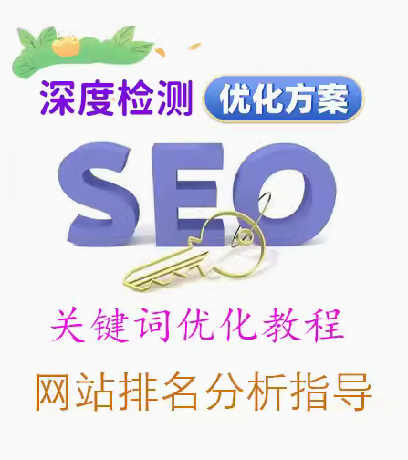 网站诊断与 SEO 优化  提升搜索引擎排名的关键