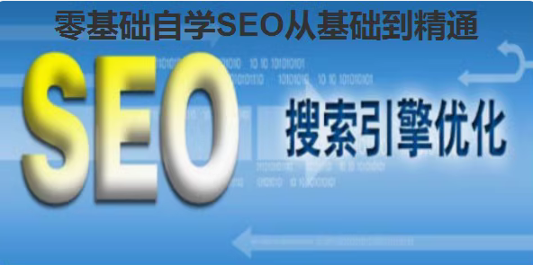 SEO 搜索引擎优化教程与百度蜘蛛查看秘籍