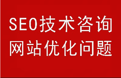 专业 SEO 咨询服务，解决网站优化难题