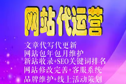 专业的网站代运营服务 实现快速收录与优化提升