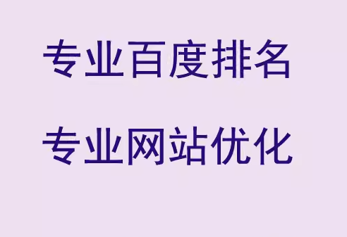 专业网站 SEO 优化，实现快速上首页与高效推广