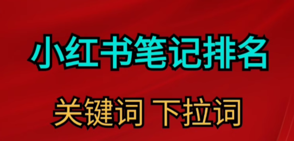 小红书合作笔记 SEO 优化及网站排名优化的必要性