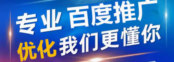 专业百度推广   优化  我们更懂你