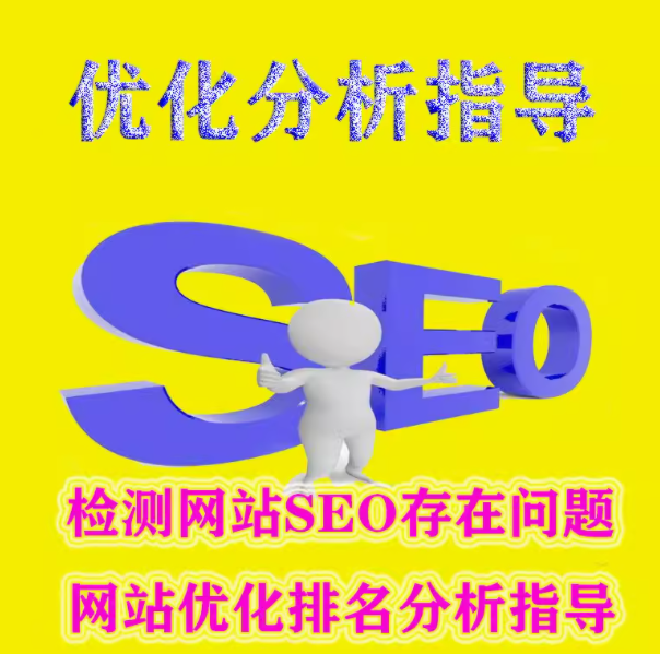 优化分析指导   seo