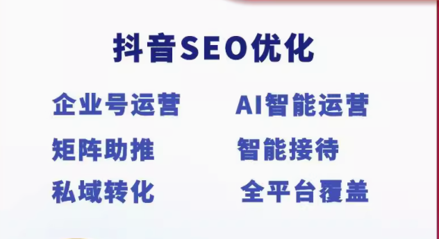 抖音 SEO 搜索关键词排名优化与获客系统