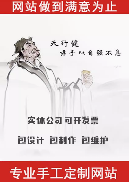 专业定制网站