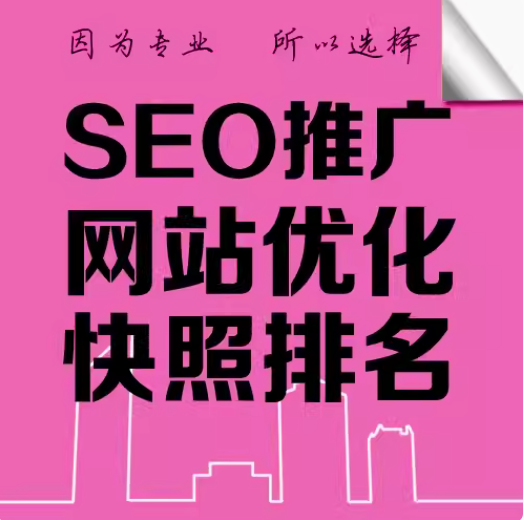 seo推广   网站优化  快照排名