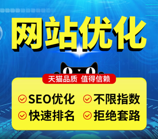 专业网站 SEO 优化，开启高效网络推广之旅