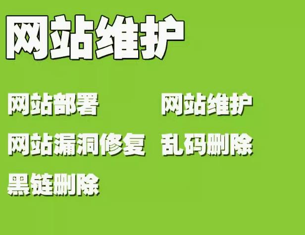 网站稳定运行与优质服务的守护者