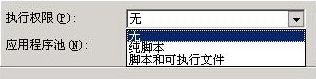 IIS 执行权限无、纯脚本、可执行文件选项 IIS 执行权限无、纯脚本、可执行文件选项