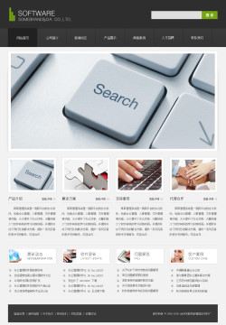 No.4335  软件公司网站