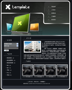 No.2009  数码产品生产企业