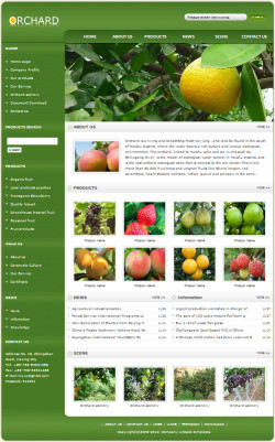 <b>No.8112  果园网站(英文)</b>