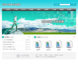 No.4046  家电公司网站