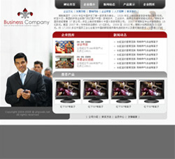 No.2012  家电生产企业网站