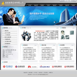 No.4202  企业管理咨询公司
