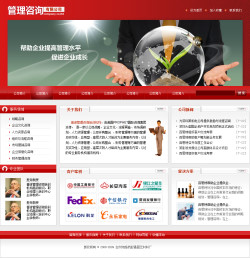 <b>No.2056  管理咨询公司网站</b>